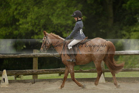 Wendy Sugden's pony show 2013.06.09