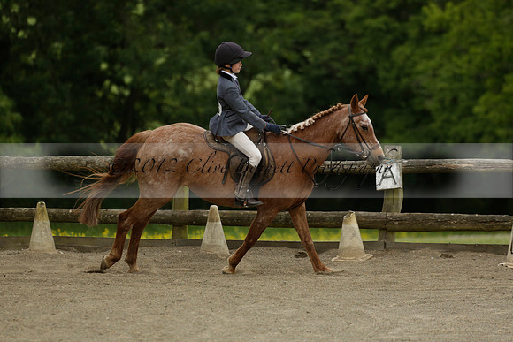 Wendy Sugden's pony show 2013.06.09
