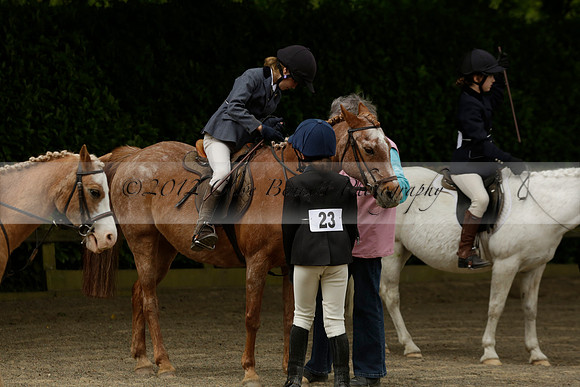 Wendy Sugden's pony show 2013.06.09