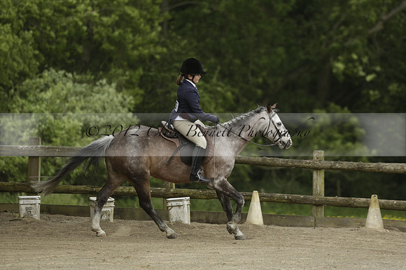 Wendy Sugden's pony show 2013.06.09