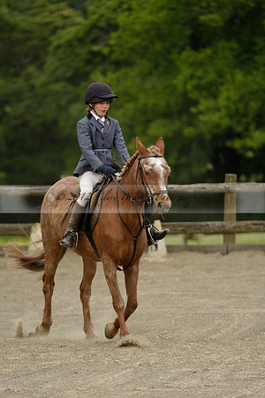 Wendy Sugden's pony show 2013.06.09