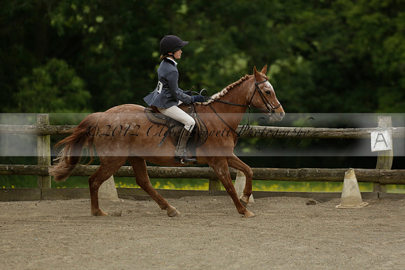 Wendy Sugden's pony show 2013.06.09