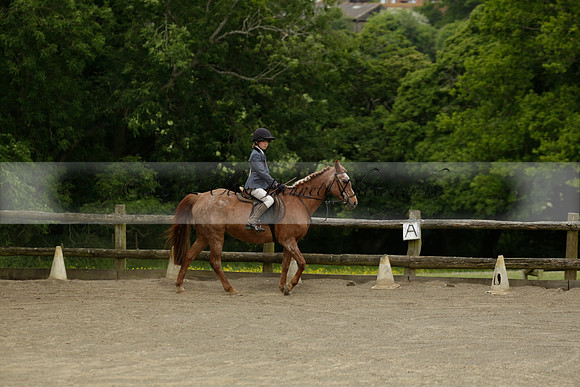 Wendy Sugden's pony show 2013.06.09
