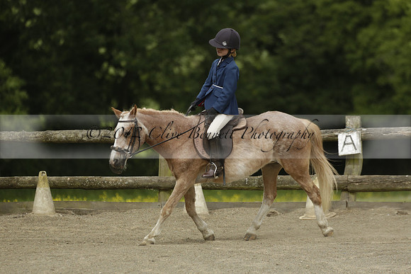 Wendy Sugden's pony show 2013.06.09