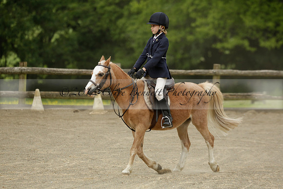Wendy Sugden's pony show 2013.06.09
