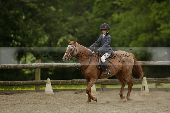 Wendy Sugden's pony show 2013.06.09