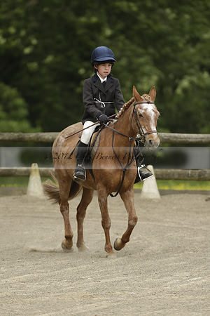Wendy Sugden's pony show 2013.06.09