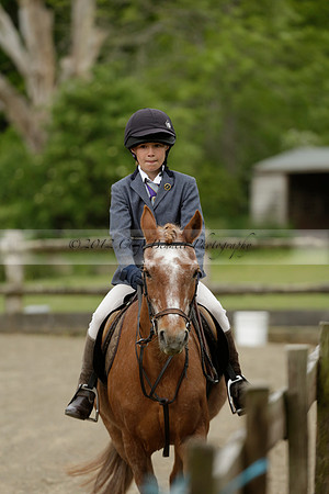Wendy Sugden's pony show 2013.06.09