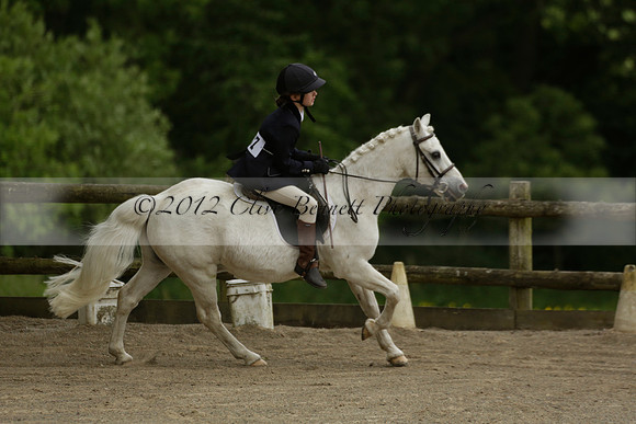 Wendy Sugden's pony show 2013.06.09