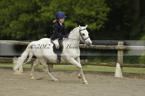 Wendy Sugden's pony show 2013.06.09