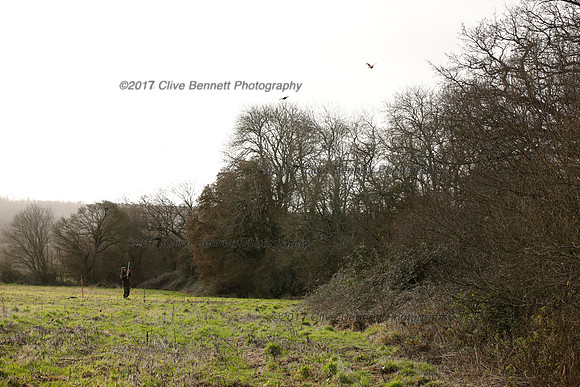 _CB_2519