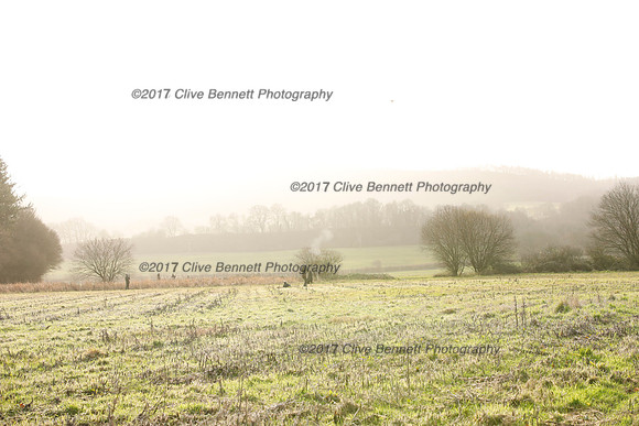 _CB_2505