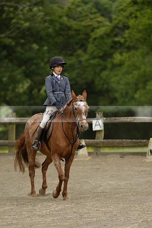 Wendy Sugden's pony show 2013.06.09