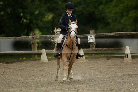 Wendy Sugden's pony show 2013.06.09