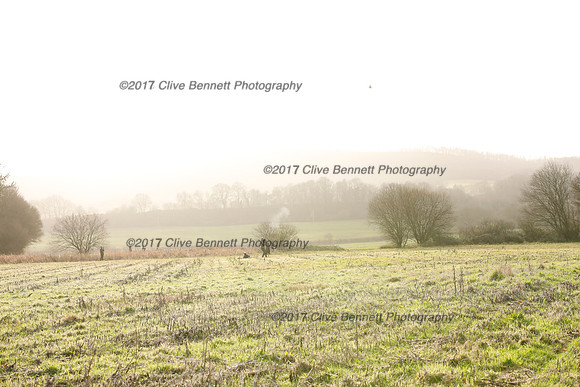 _CB_2504