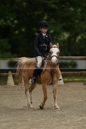 Wendy Sugden's pony show 2013.06.09
