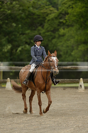 Wendy Sugden's pony show 2013.06.09