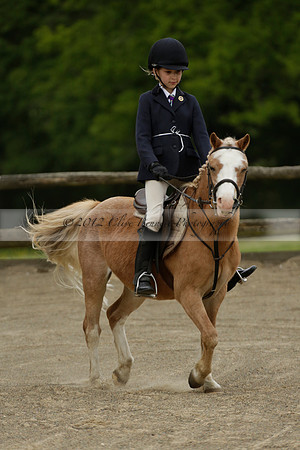 Wendy Sugden's pony show 2013.06.09