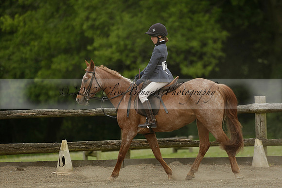 Wendy Sugden's pony show 2013.06.09