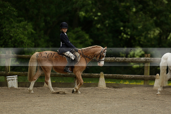 Wendy Sugden's pony show 2013.06.09
