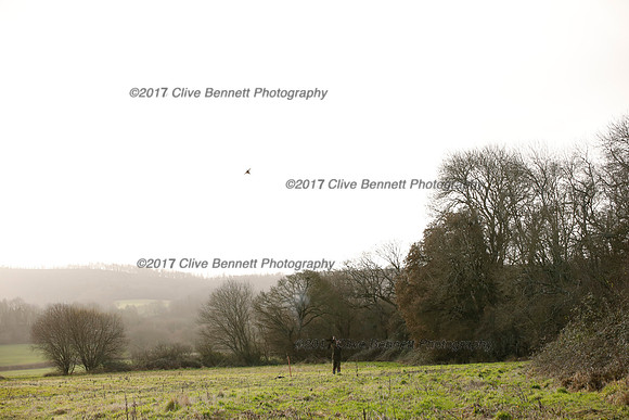 _CB_2526