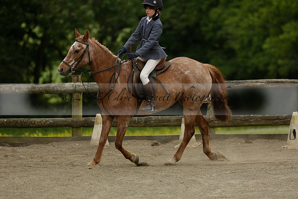 Wendy Sugden's pony show 2013.06.09