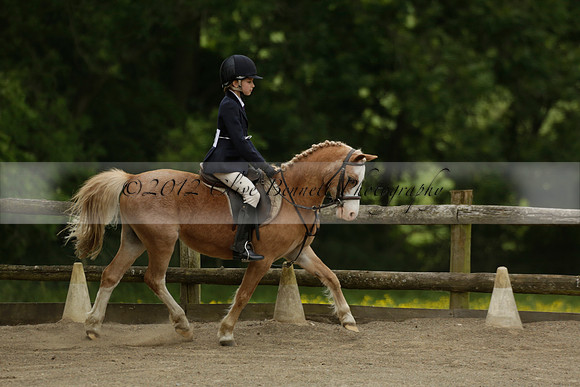 Wendy Sugden's pony show 2013.06.09