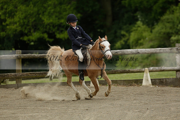 Wendy Sugden's pony show 2013.06.09