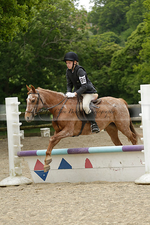 Wendy Sugden's pony show 2013.06.09 Grangefields Riding School