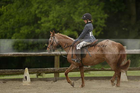 Wendy Sugden's pony show 2013.06.09