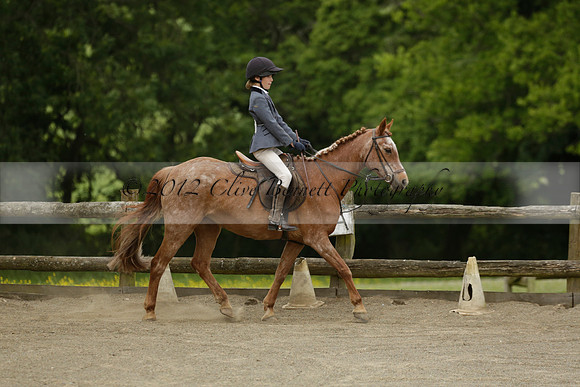 Wendy Sugden's pony show 2013.06.09