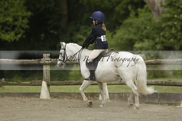 Wendy Sugden's pony show 2013.06.09