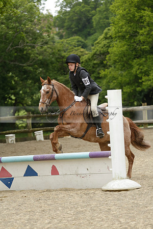 Wendy Sugden's pony show 2013.06.09 Grangefields Riding School