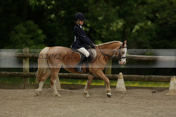 Wendy Sugden's pony show 2013.06.09