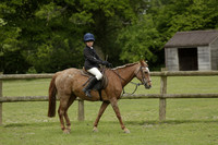Pony Show at Bepton 2013.06.09