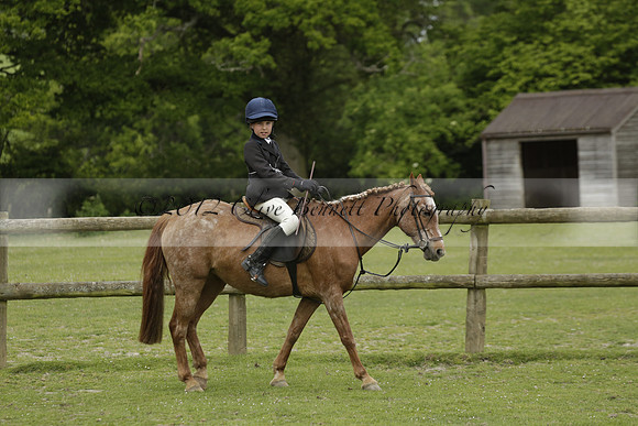 Wendy Sugden's pony show 2013.06.09