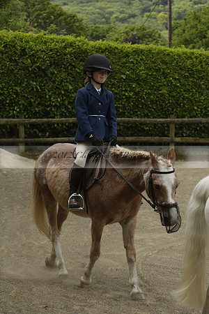 Wendy Sugden's pony show 2013.06.09