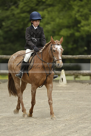 Wendy Sugden's pony show 2013.06.09