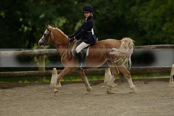 Wendy Sugden's pony show 2013.06.09
