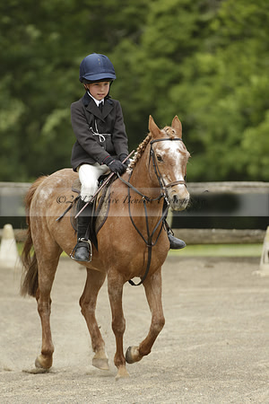 Wendy Sugden's pony show 2013.06.09