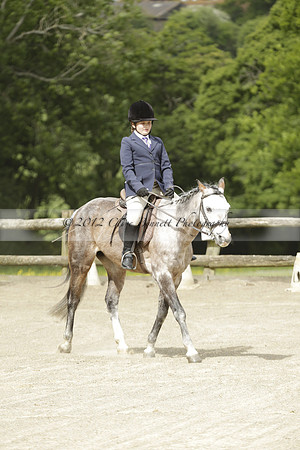 Wendy Sugden's pony show 2013.06.09