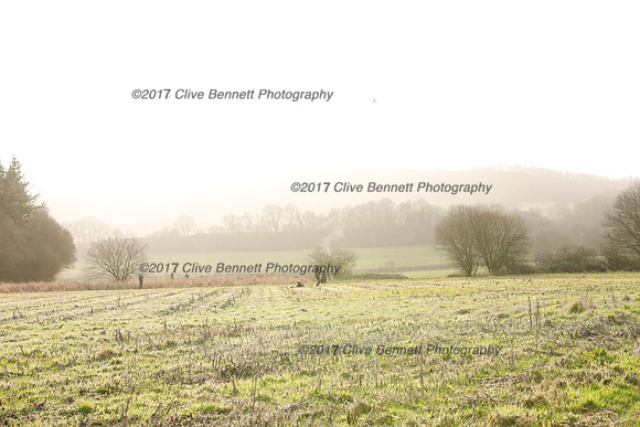 _CB_2506