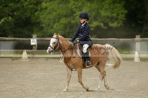 Wendy Sugden's pony show 2013.06.09