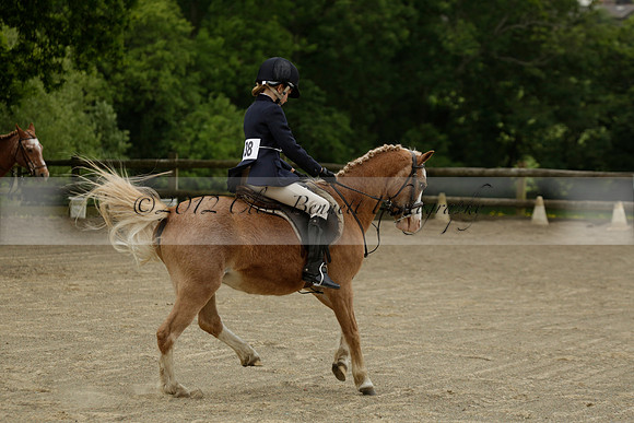 Wendy Sugden's pony show 2013.06.09