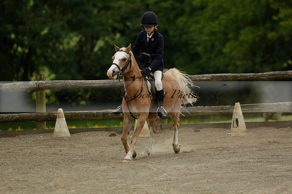 Wendy Sugden's pony show 2013.06.09