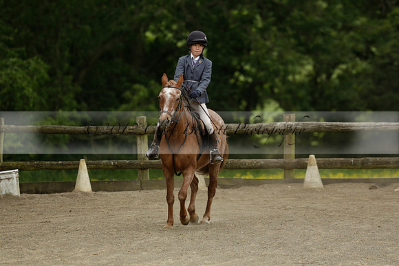 Wendy Sugden's pony show 2013.06.09