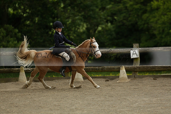 Wendy Sugden's pony show 2013.06.09