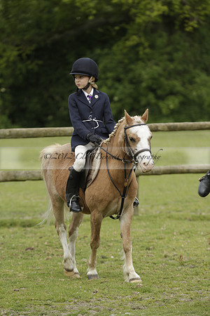 Wendy Sugden's pony show 2013.06.09