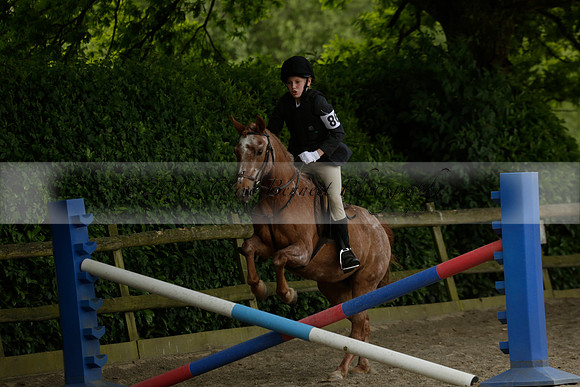 Wendy Sugden's pony show 2013.06.09 Grangefields Riding School