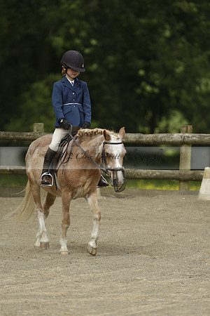 Wendy Sugden's pony show 2013.06.09